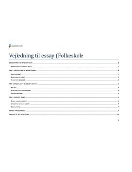 Essay i dansk (Folkeskole)