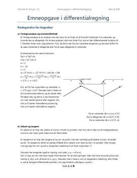Emneopgave i differentialregning