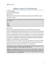 Memo report Starbucks - Guldbesvarelse