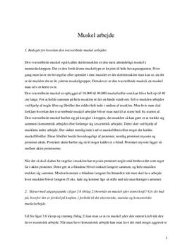Bevægelsesanalyse af baghåndsslag i badminton og analyse af muskel