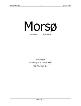 Morsø brændeovne - Segmentering, målgruppe og købsadfærd | Afsætning A
