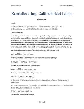 Saltindholdet i Chips - Rapport i Kemi