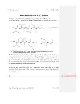 Savinase - Enzymkinetik - Opgaver i Kemi