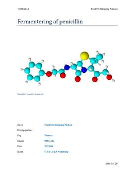 Rapport om fermentering af penicillin