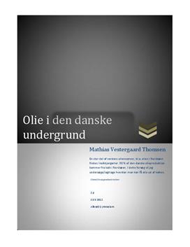 Olieudvinding i den Danske Undergrund - Rapport i NG
