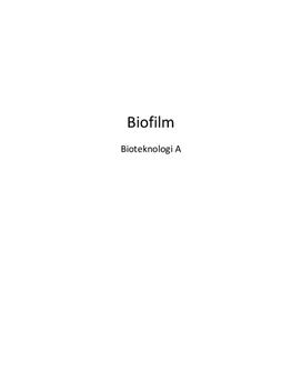 SRP om bakterier i biofilm i Bioteknologi A