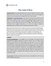 Analytical Essay om "The End of Men"