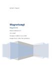 Magnetvægt - Rapport i Fysik