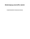SRP om genmodificering af planter i Bioteknologi og Matematik