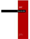 SRP: Økonomisk udvikling i USA & Kina