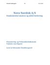 SOP om værdiansættelse af Novo Nordisk | Virksomhedsøkonomi A og Finansiering B