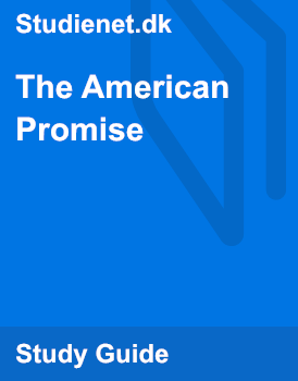 the american promise essay
