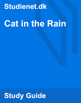 Реферат: Ernest HemingwayS Cat In The Rain Essay