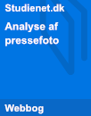 Analysemodel til pressefoto Analysemodel til pressefoto