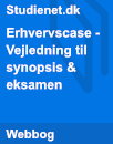 Erhvervscase - Vejledning til synopsis & eksamen Erhvervscase - Vejledning til synopsis & eksamen
